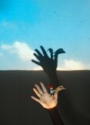 Bild von Nils Holgersson und die Wildgänse
