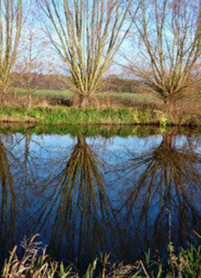 Bild von Elbpark Entenwerder - Wasserkunst Kaltehofe