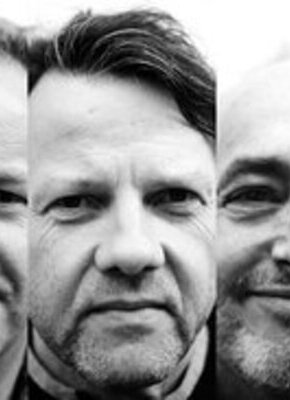 Bild von Komitee für Unterhaltungskunst - Songs von Rio Reiser