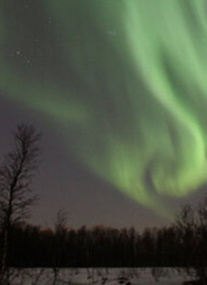 Bild von Reisebericht: Polarlicht in Tromsø