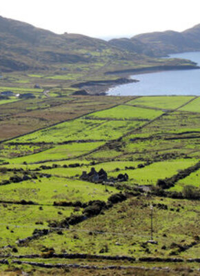 Bild von Reisebericht Irland