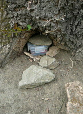 Geocaching - die Schnitzeljagd mit GPS und Internet