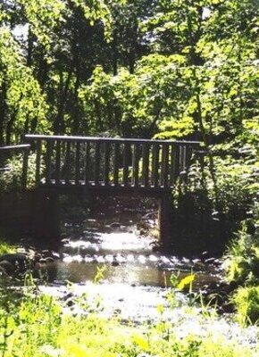 Bild von Tour de Eidelstedt