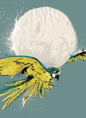 Bild von Transgenerationale Perspektiven auf Flucht und Migration