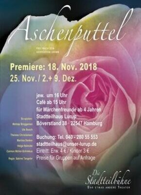Bild von Aschenputtel Premiere