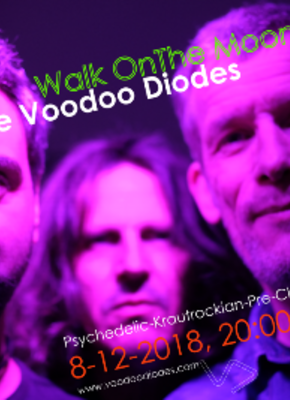 Bild von The Voodoo Diodes