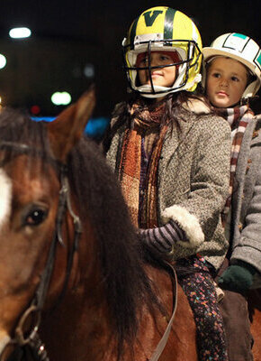 Bild von Das Pferd auf dem Balkon