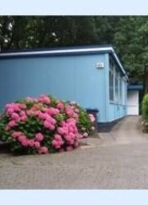 Bild von Infoabend des Club 68