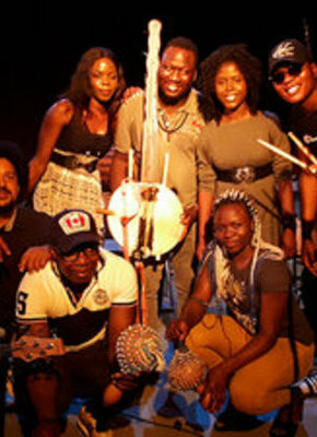 Bild von The Romantic Tigers