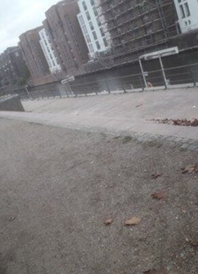 Bild von „Fliegen und Liegen“