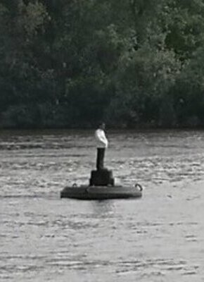 Bild von VERLÄNGERT!!! Stephan Balkenhol - ?Bewahrung der Schöpfung?