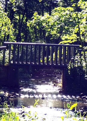 Bild von Tour de Eidelstedt