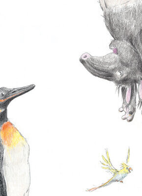 Bild von Gordon und Tapir