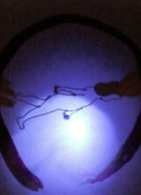 Bild von Filles & Soie (Mädels und Glitter)