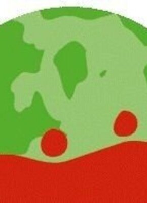 Bild von Buffet der Kulturen