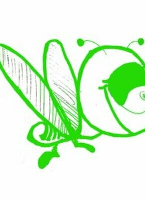 Bild von Die grüne ella: Korrekte Klamotten