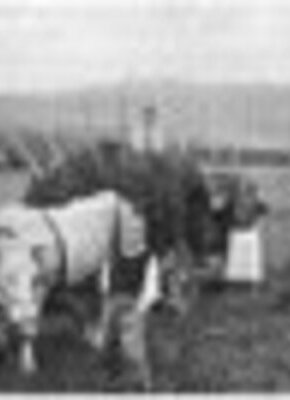 hamburg film - "Das Brot der dritten Klasse" und "Eine Sache mit Haken"