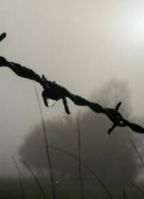 Bild von "Grenzen überwinden" - Neue Anthologie wird im Ledigenheim vorgestellt