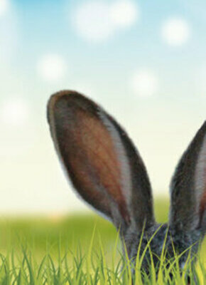 Bild von Figurentheater Anja Kilian: Hase Frido und das Geheimnis der Baumwurzel