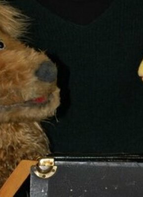 Bild von Luise ist weg