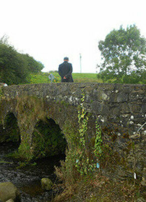 Bild von Gerry Doyle - Irish Folk