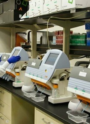 Bild von ONLINE-GESPRÄCH: Die Wissenschaft auf der Suche nach der ewigen Jugend (mit Simultanübersetzung)