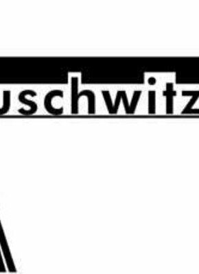 Bild von „Rassismus und Diskriminierungserfahrungen im Kontext polizeilicher Gewaltausübung“