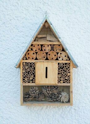 Bild von Kidsworkshop Gartenbau*