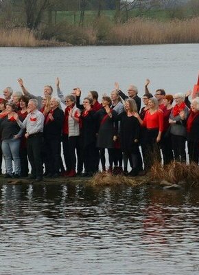 Bild von LOLA Open 21: A Cappella Musik mit dem LOLA Chor