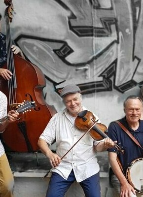Bild von White Mice String Band | Acoustic Folk, Americana, Swing and Blues 