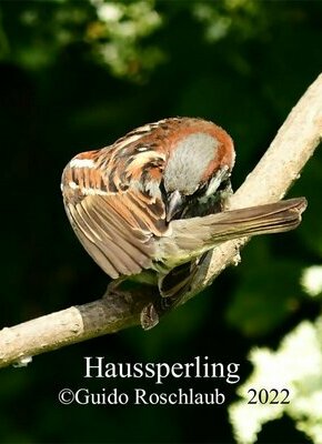 Bild von Für Frühaufsteher – Vogel- und Botanik-Exkursion in Wandsbek