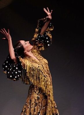 Bild von Flamenco Konzert: Anabel Veloso (Tanz), Gabriel Pérez (Gitarre), Carmen Fernandez (Gesang)