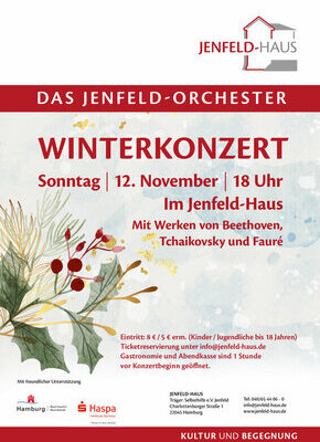 Bild von Das Jenfeld-Orchester Winterkonzert