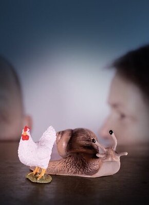 Bild von Schneck & Huhn