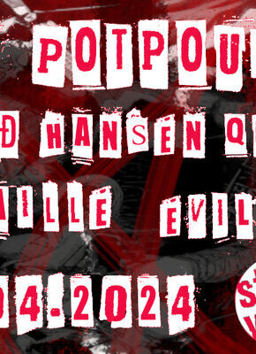Bild von Punk Potpourri
