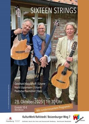 Bild von Gitarrentrio Sixteen Strings