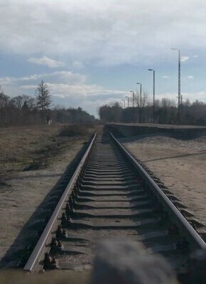 Bild von Die Kinder der Schweigenden – Filmvorführung mit anschließendem Gespräch