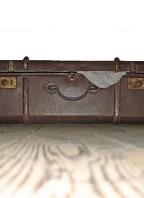 Bild von Die Herbst-Zeitlosen: Über den Notfallkoffer