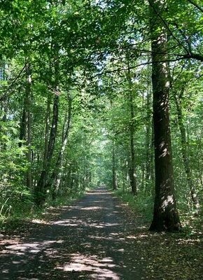 Bild von Tag der Geschichtswerkstätten