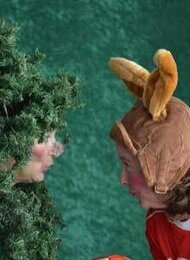Kindertheater: Der kleine Tannenbaum