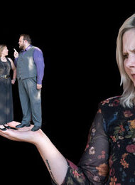 Kühe im Sonnenuntergang