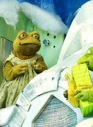 Frida und Frosch