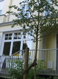 Erzählcafé für Frauen