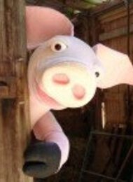Figurentheater Wolkenschieber: So eine Schweinerei