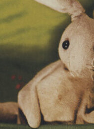Der Hase Hopsi Topsi