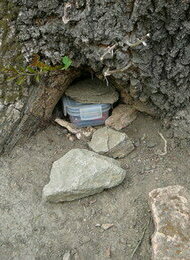 Geocaching - die Schnitzeljagd mit GPS und Internet