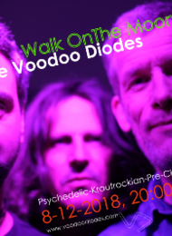The Voodoo Diodes