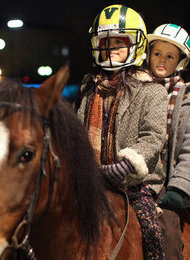 Das Pferd auf dem Balkon