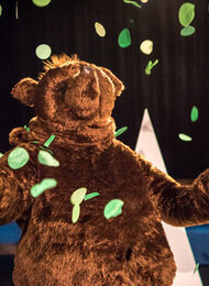 Der Bär, der nicht da war