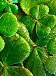 Ukulele PlayDate & St. Patrick’s Day Special